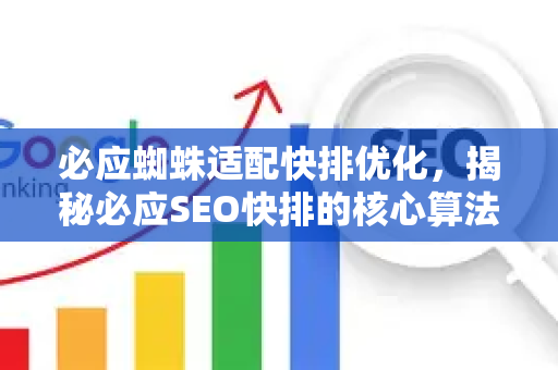 必应蜘蛛适配快排优化，揭秘必应SEO快排的核心算法与实战策略