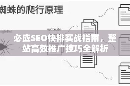 必应SEO快排实战指南，整站高效推广技巧全解析