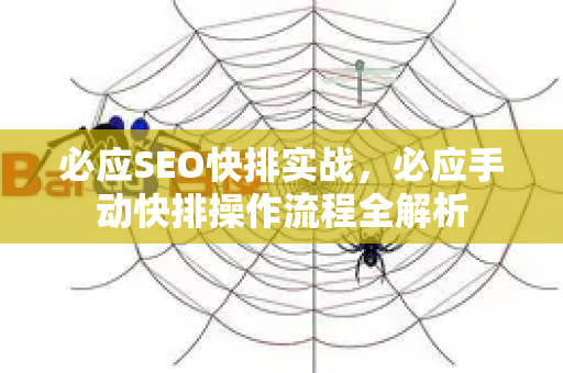 必应SEO快排实战，必应手动快排操作流程全解析