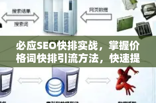 必应SEO快排实战，掌握价格词快排引流方法，快速提升网站排名