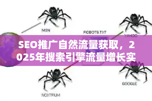 SEO推广自然流量获取，2025年搜索引擎流量增长实战指南