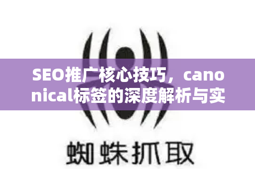 SEO推广核心技巧，canonical标签的深度解析与实战应用