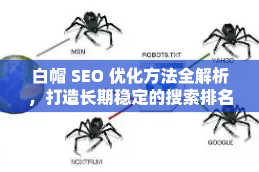 白帽 SEO 优化方法全解析，打造长期稳定的搜索排名