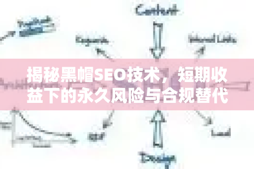 揭秘黑帽SEO技术，短期收益下的永久风险与合规替代方案