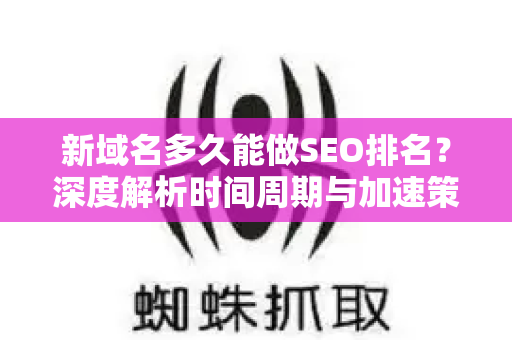 新域名多久能做SEO排名？深度解析时间周期与加速策略