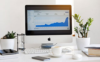 必应SEO快排，音乐网站优化的核心策略与实战指南